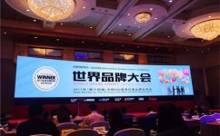拉斯维加斯游戏品牌一连11年入选《中国500最具价值品牌排行榜》